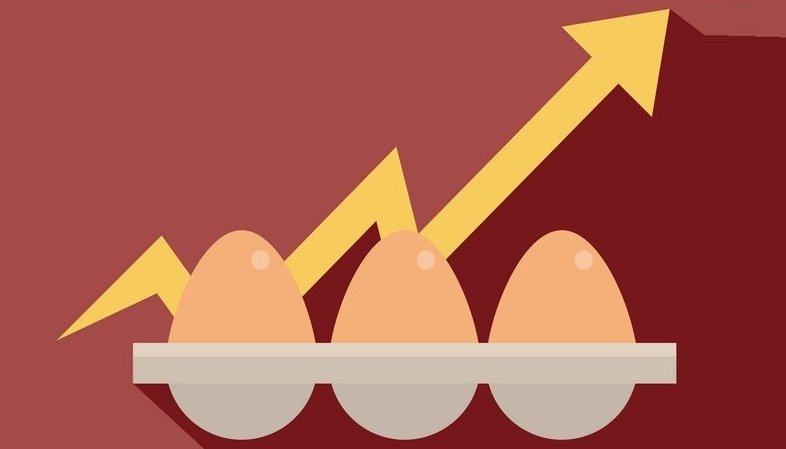 Poultry profitability to improve 200 bps to over 7% this fiscal says Crisil