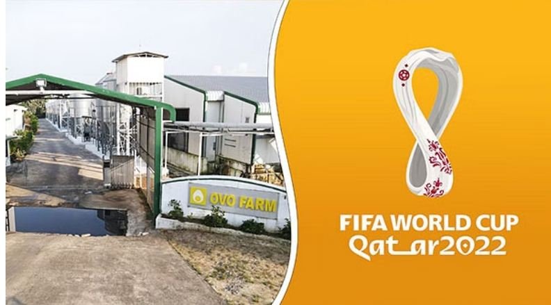 Odisha’s OVO Farm egg reaches Qatar FIFA World Cup