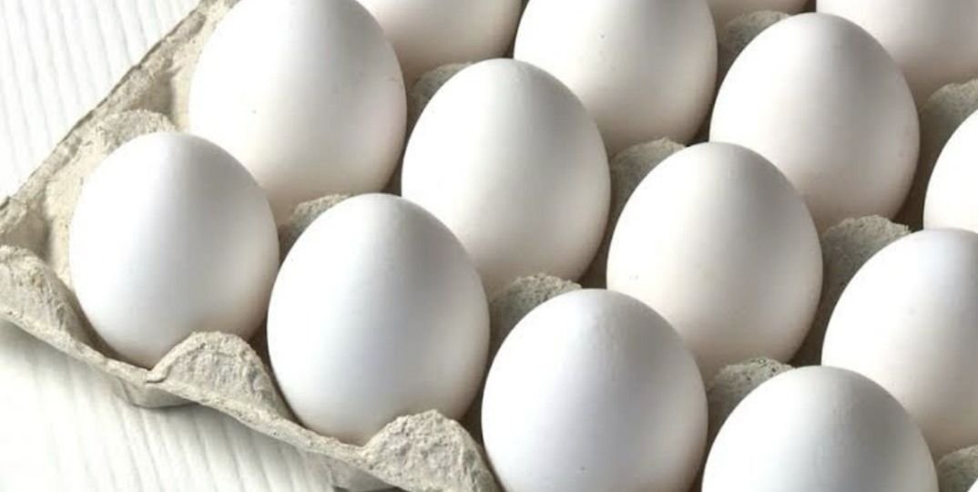 West Bengal will provide eggs to other regions