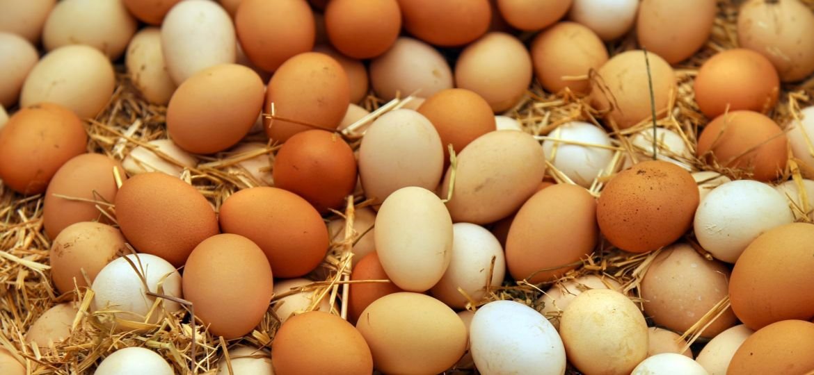 Food Protein Organic Chicken Raw Eggs