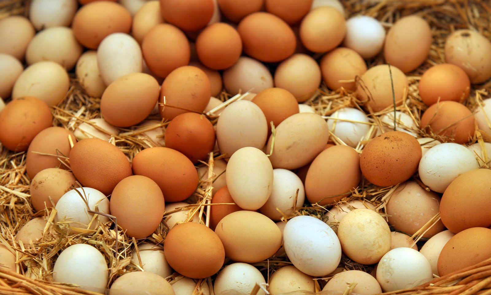 Chicken, egg prices rise; low maize and soya yields could push them up