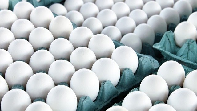 Madhya Pradesh Bans Meat, Egg Sale