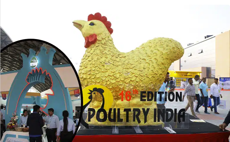 The Largest Poultry Exhibition in South Asia Kicks Off in Hyderabad