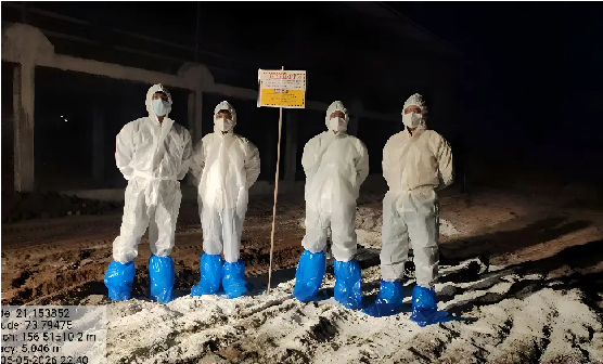 H5N1 avian influenza cull in India’s Navapur hits 200,000 birds
