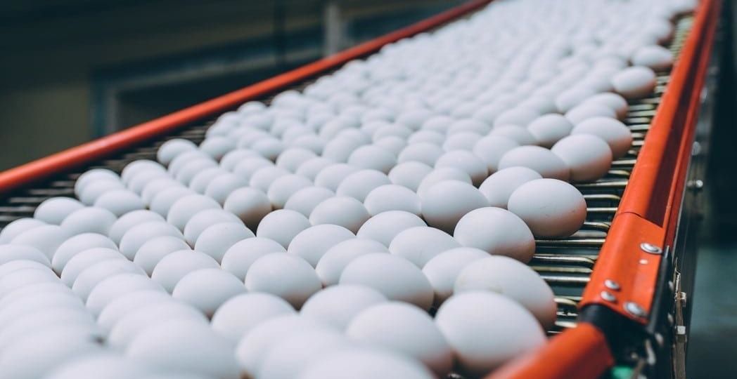 Poultry farmers in Namakkal deny claims of long-term egg storage for noon meal scheme