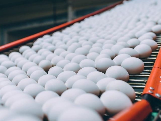 Poultry farmers in Namakkal deny claims of long-term egg storage for noon meal scheme