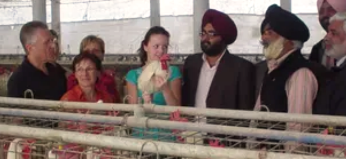 Ludhiana bizman’s farm ships 80K eggs daily, has Rs 13-cr turnover